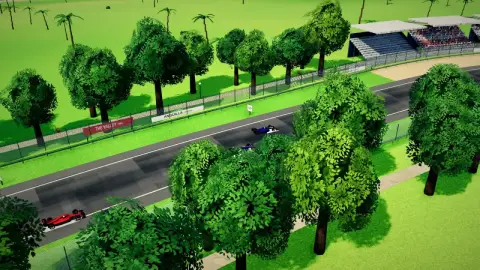 The Anguilla circuit